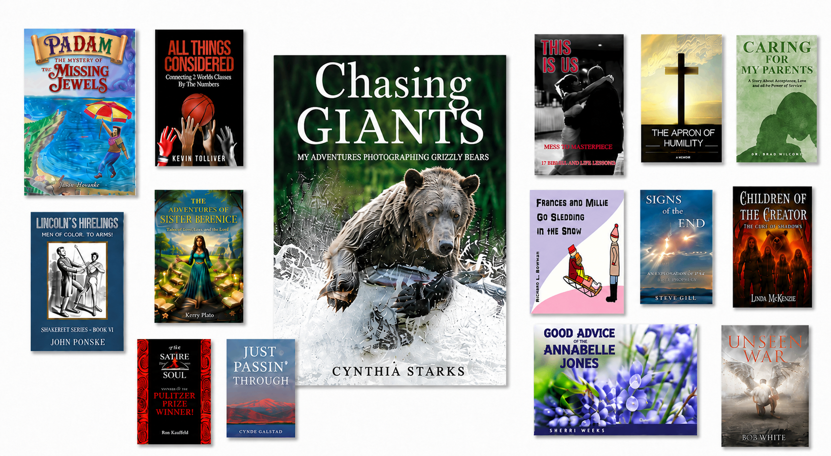 A collage of published books from Publify Publishing